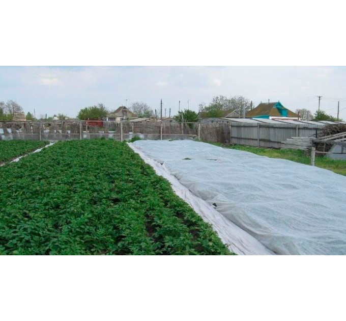 Агроволокно Agreen – якісна тканина для захисту рослин