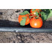 Крапельна стрічка Presto-PS щілинна Blue Line отвори через 10 см, витрата води 1,4 л/год, довжина 1000 м (BL-10-1000)