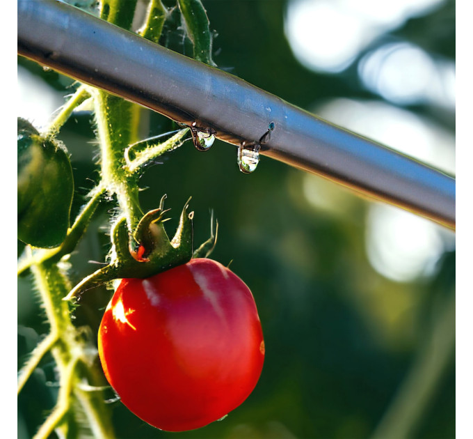 Крапельна трубка багаторічна Presto-PS з крапельницями через 50 см, довжина 200 м (MCL-50-200)