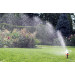 Presto-PS (8103D) Impulse Sprinkler – Universal Sprinkler for Lawns and Gardens
